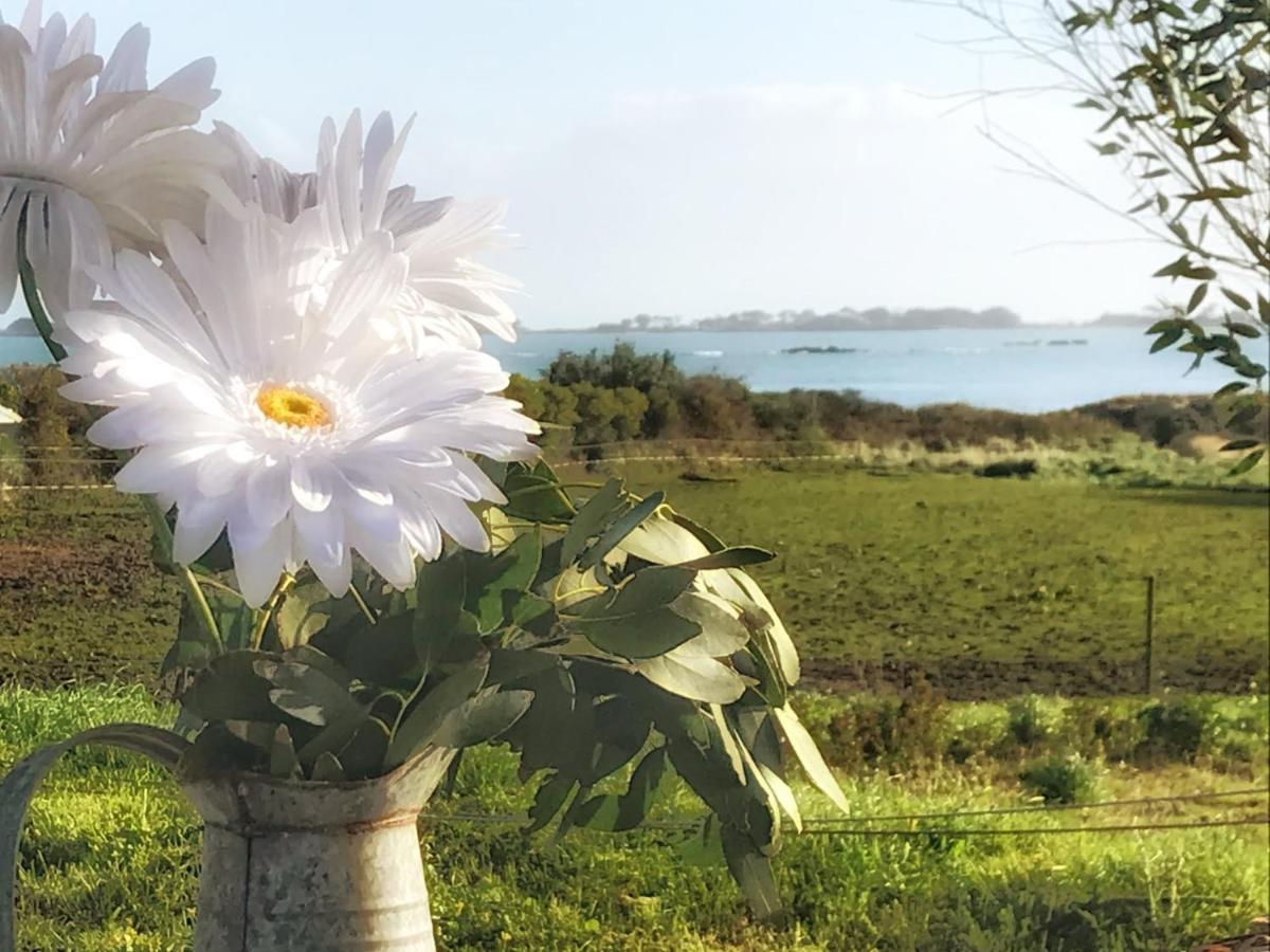 Le Petit Gite Cosy De Kerigou Avec Vue Mer Et Plage Saint-Pol-de-Leon Bagian luar foto